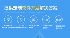 烟台软件定制开发解决方案